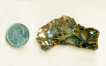 Orange, yellow and green moss surrounded by black, over a bluish background, in a slab of Horse Canyon Agate from Tehachapi, California.