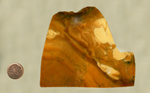 A brown and cream-colored slab of jasper, swirled together like butterscotch.