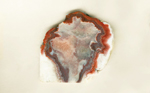 Prairie Agate slab with red bands and purple inside them.