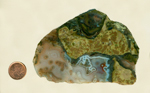 Thunderegg agate slab with thunderegg pattern, highlighted around the edges with blue and gray, bordered with yellow and green.