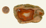 Orange and red fortification and a clear background in a slab of Laguna Agate from Mexico.