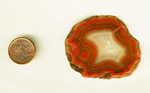 A red slab of Coyamito Agate from Mexico with a strong fortification pattern dominating most of its surface.