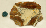 A slab of Willow Creek Jasper from Idaho, with creamy porcelain chalcedony in a star shaped, thunderegg pattern, and orange details smeared across it and the surrounding matrix.